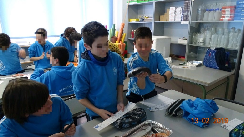 Taller tallas mínimas (11)