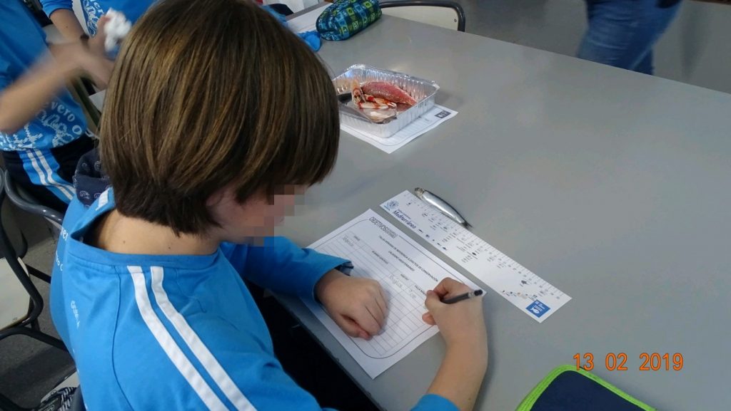 Taller tallas mínimas (12)
