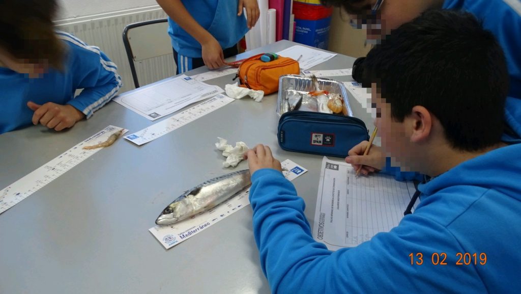 Taller tallas mínimas (14)