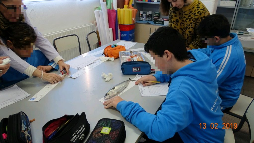 Taller tallas mínimas (15)