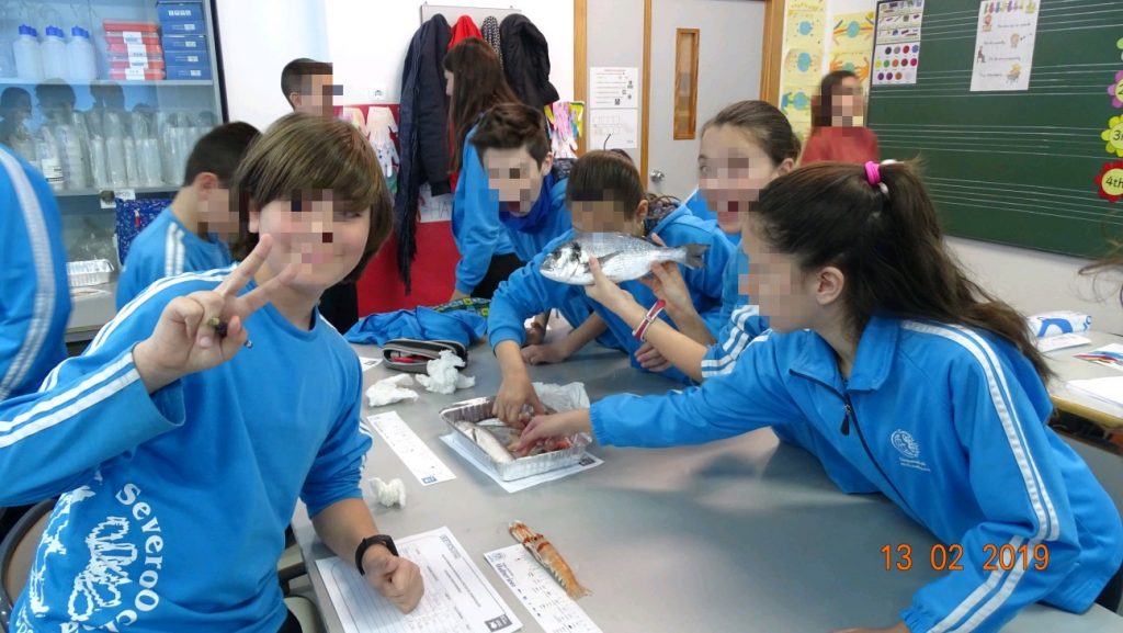 Taller tallas mínimas (16)