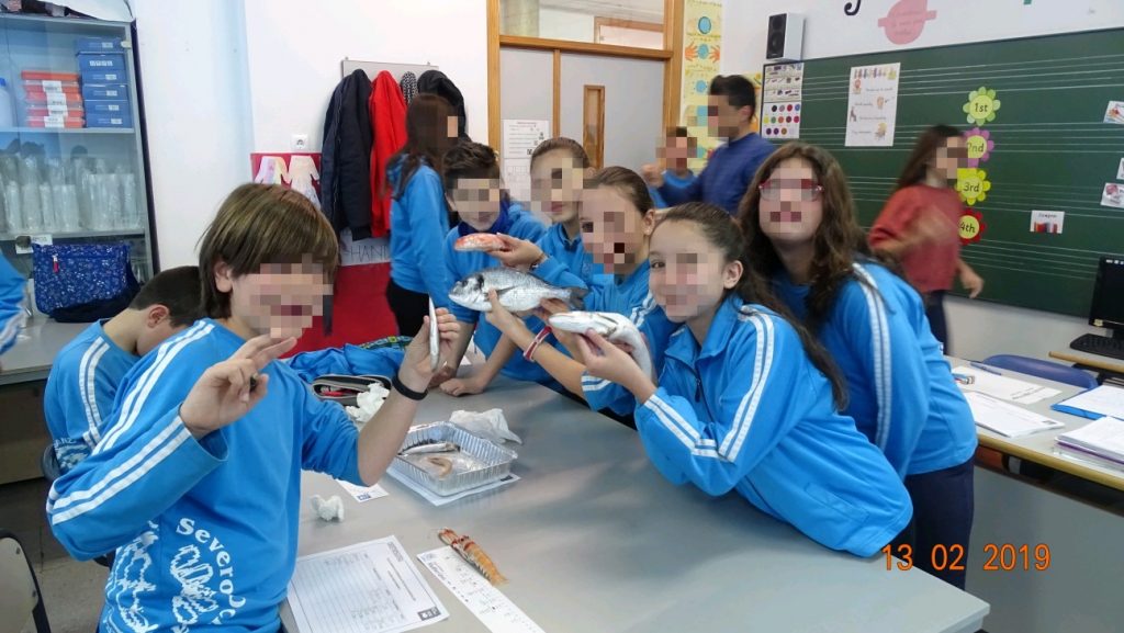 Taller tallas mínimas (17)
