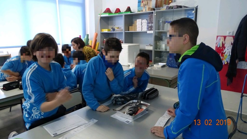 Taller tallas mínimas (6)