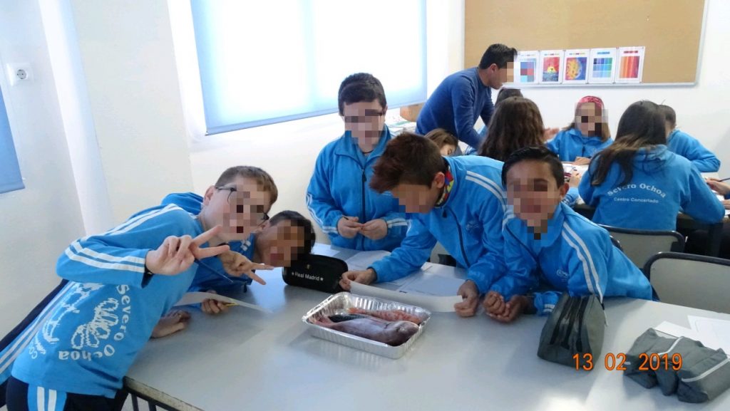 Taller tallas mínimas (7)