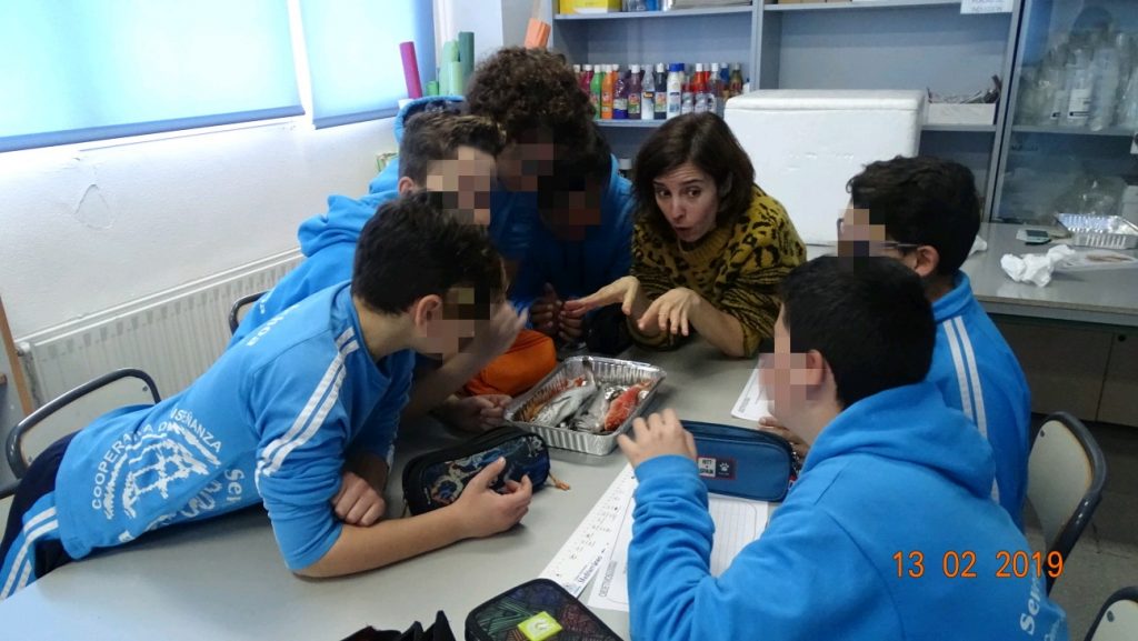 Taller tallas mínimas (8)