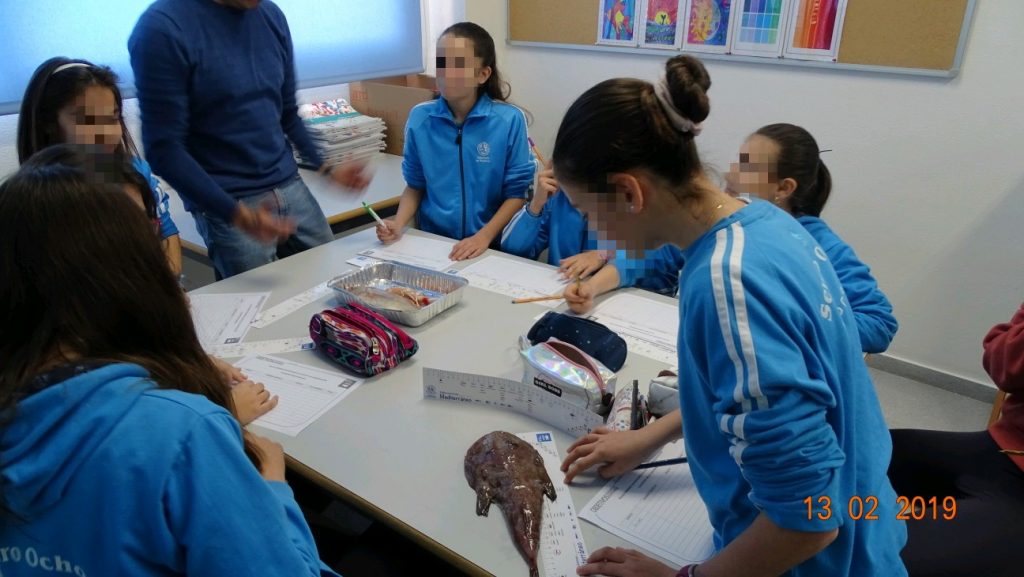 Taller tallas mínimas (9)